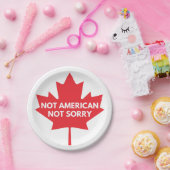 Niet Amerikaans, geen papieren Bord (Feest)