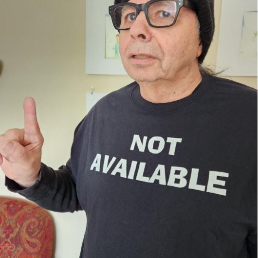 NIET BESCHIKBAAR T-Shirt Vertel uw statusvriendje