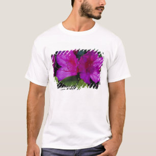 Niet beschikbaar. VS, Georgia, Savannah. Azalea in T-shirt