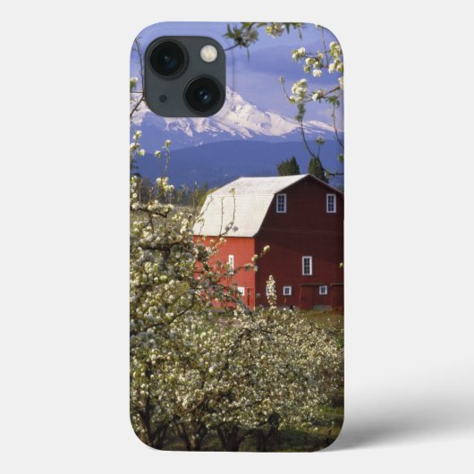Niet beschikbaar, VS, Oregon, Hood River County. R Case-Mate iPhone Case (Achterkant)
