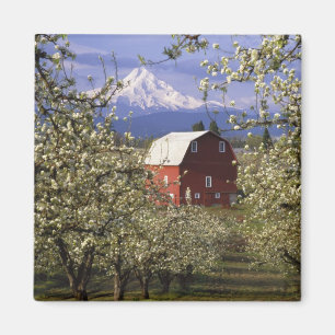 Niet beschikbaar, VS, Oregon, Hood River County. R Magneet