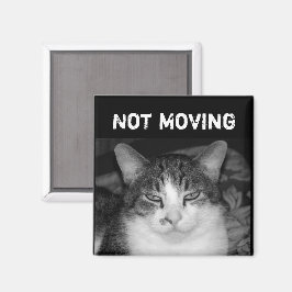 "Niet Bewegend" Crabby Cat Magnet