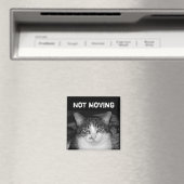 "Niet Bewegend" Crabby Cat Magnet (Insitu (Vaatwasser))