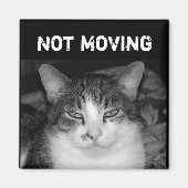 "Niet Bewegend" Crabby Cat Magnet (Voorkant)