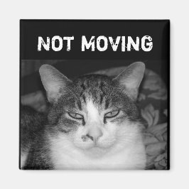 "Niet Bewegend" Crabby Cat Magnet