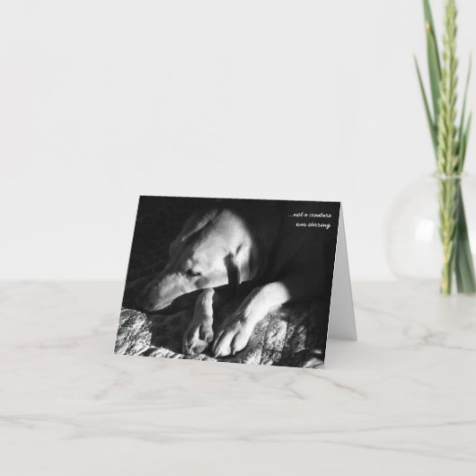 … niet bewoog een schepsel feestdagen kaart (Voorkant)