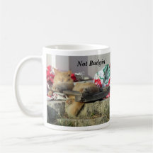 Niet Bogin tot ik wat koffie krijg — Mok kat