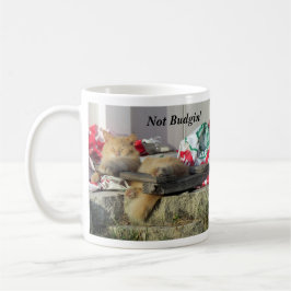 Niet Bogin tot ik wat koffie krijg — Mok kat