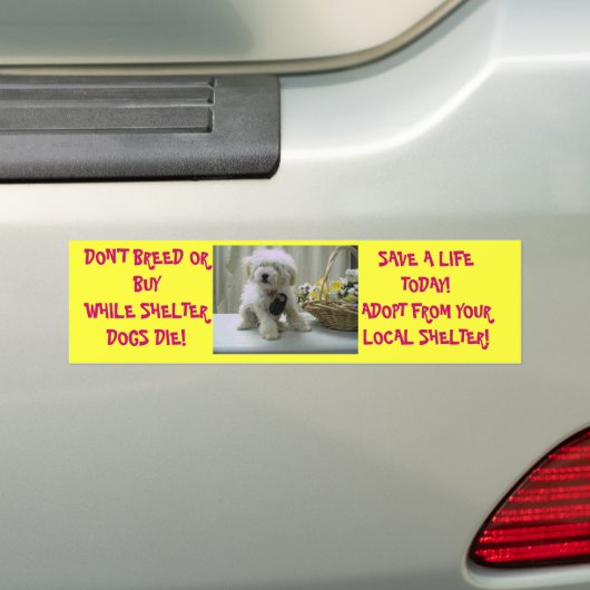 NIET BREED OF KOPEN! ADOPT BUMPERSTICKER (Op auto)
