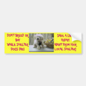 NIET BREED OF KOPEN! ADOPT BUMPERSTICKER (Voorkant)