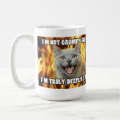 Niet chagrijnige kat mok (Links)