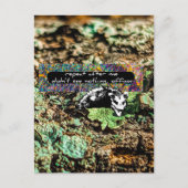 Niet-conform Briefkaart (Voorkant)