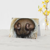 NIET DAT IK "SNAAK" BEN MAAR WORD JE **40** KAART (Gele Bloem)