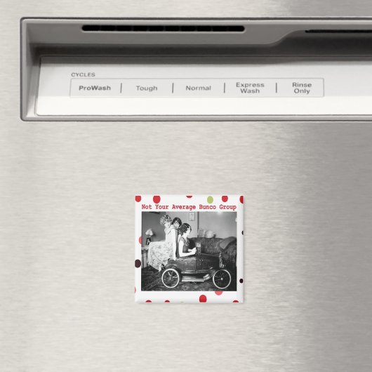 niet de gemiddelde bunco groep magneet (Insitu (Vaatwasser))