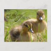 "Niet de schreeuw" Inspirerend leiderschap Quote Briefkaart (Voorkant)