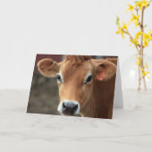 Niet denkt u ik bent de Mooie Koe van Jersey Kaart (Gele Bloem)