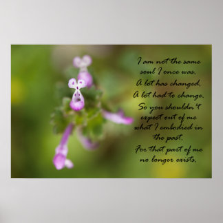 Niet dezelfde soep poster