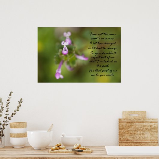 Niet dezelfde soep poster (Keuken)