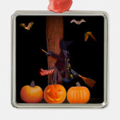 Niet Drinken en vliegen Ornament (Voorkant)