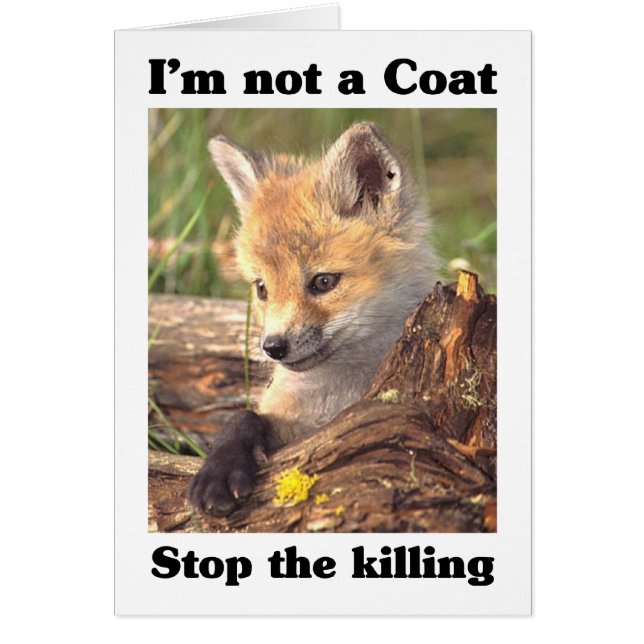 Niet een coatingfox (Voorkant)