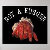 Niet een hugger Funny Hermit Crab Poster (Voorkant)