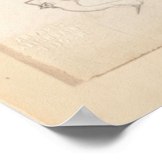 [Niet-geïdentificeerde spreeuw]. 1835, Lear, Edwar Poster (Hoek)