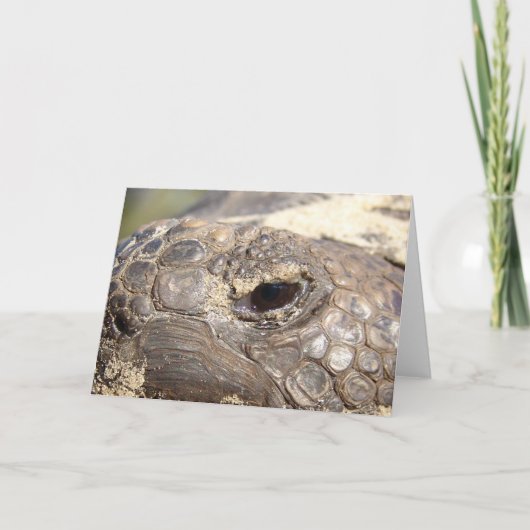 Niet gelukkige de Schildpad van gopher Kaart (Voorkant)