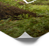 Niet iedereen die Wander verliest Poster (Hoek)