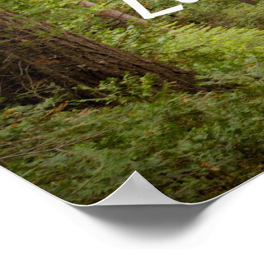 Niet iedereen die Wander verliest Poster (Hoek)