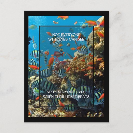 Niet iedereen met ogen KAN HET citaat van het ocea Briefkaart (Voorkant)