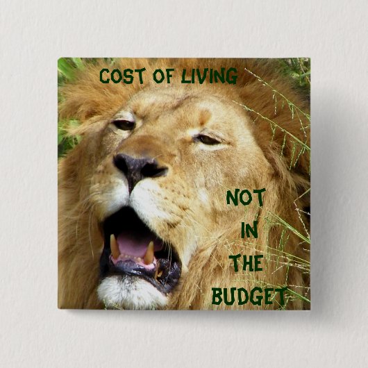 Niet in Budget_ Button (Voorkant)