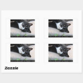 Niet in een gearceerde grappige kat rechthoekige sticker (Vel)