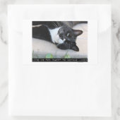 Niet in een gearceerde grappige kat rechthoekige sticker (Tas)