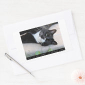 Niet in een gearceerde grappige kat rechthoekige sticker (Envelop)