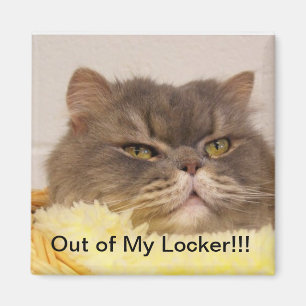 NIET IN LOCKER MAGNEET