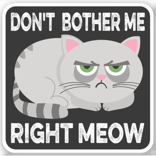 NIET JUISTE MEOW - Grappig Lazy Cat Sticke Sticker (Voorkant)