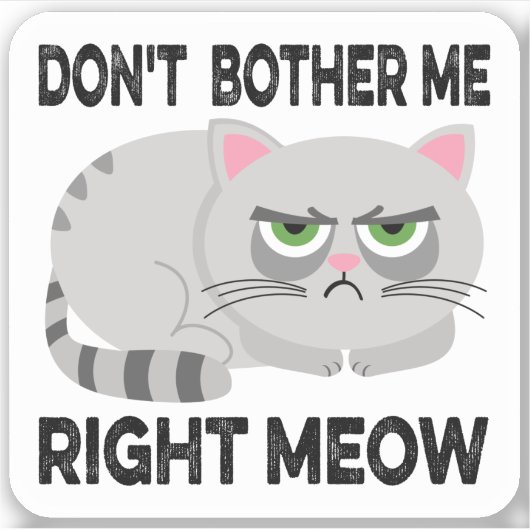 NIET JUISTE MEOW - Grappig Lazy Cat Sticke Sticker (Voorkant)