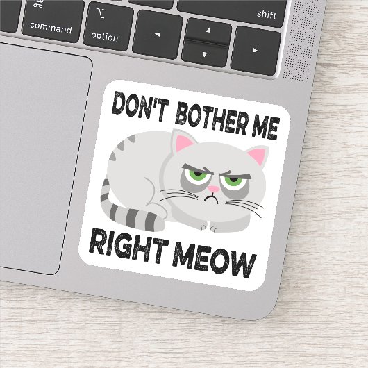 NIET JUISTE MEOW - Grappig Lazy Cat Sticke Sticker (Detail)