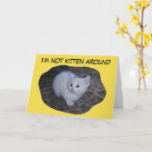 Niet Katje rond Kaart (Gele Bloem)