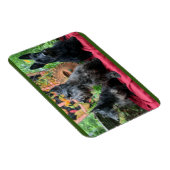 Niet kijken magneet (Rechterzijde)