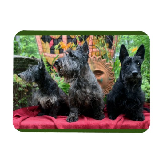 Niet kijken magneet (Horizontaal)