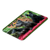 Niet kijken magneet (Linkerzijde)