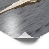 Niet knoeien met een kale arend foto afdruk (Hoek)