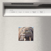 Niet krijgen goed sympathie kaart: Hospice of ziek Magneet (Insitu (Vaatwasser))