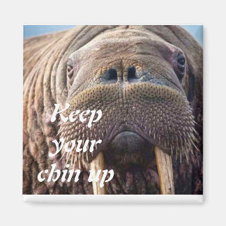 Niet krijgen goed sympathie kaart: Hospice of ziek Magneet