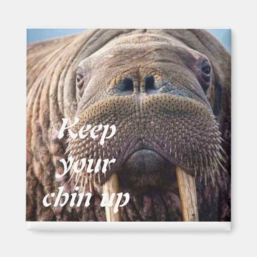 Niet krijgen goed sympathie kaart: Hospice of ziek Magneet (Voorkant)