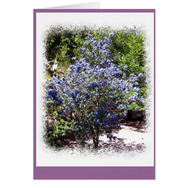 Niet langer alleen (Voorkant)