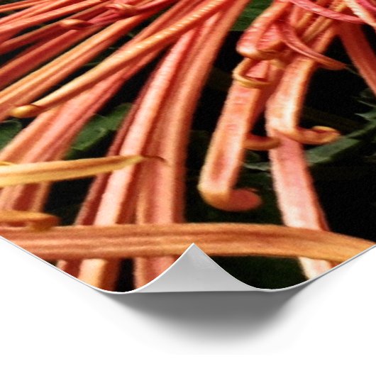 Niet meer conform poster (Hoek)