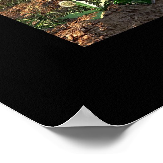 Niet meer te koop - Plus à verkoper Poster (Hoek)