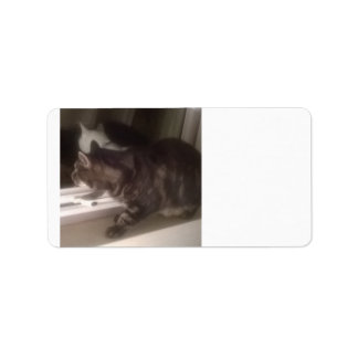 Niet met je praten Dave Adresetiketten Etiket